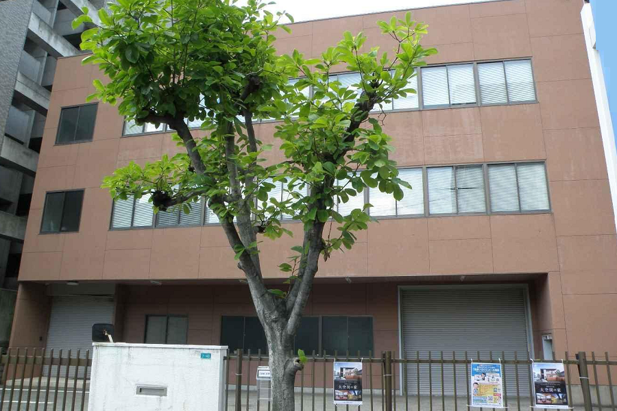 【賃貸】 0.00m2(0.00坪) の貸し倉庫(貸倉庫)・賃貸倉庫の外観
